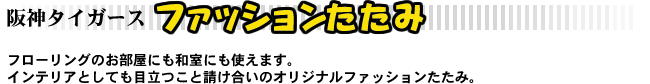 ��_�^�C�K�[�X�@�t�@�b�V����������