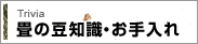 畳の豆知識・お手入れ
